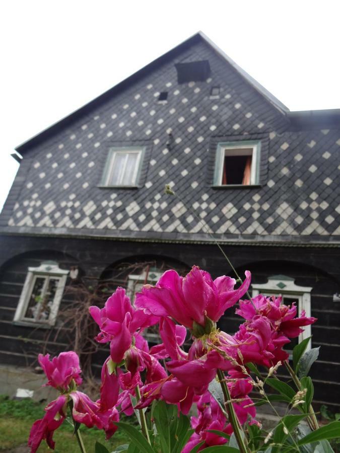 Prazdninovy Dum Nove Hrabeci Villa Sluknov ภายนอก รูปภาพ